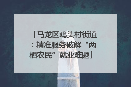 马龙区鸡头村街道：精准服务破解“两栖农民”就业难题