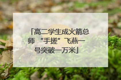 高二学生成火箭总师 “手搓”飞燕一号突破一万米
