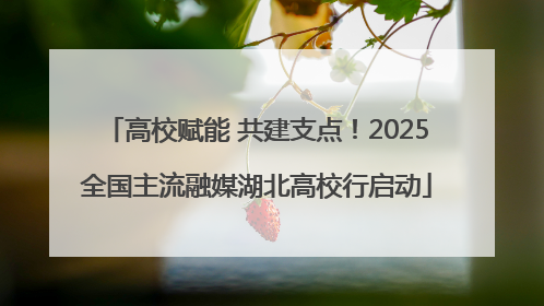 高校赋能 共建支点！2025全国主流融媒湖北高校行启动