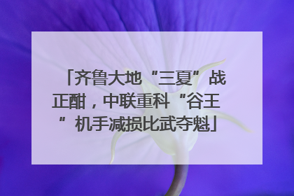 齐鲁大地“三夏”战正酣，中联重科“谷王”机手减损比武夺魁