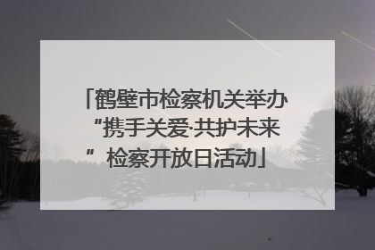 鹤壁市检察机关举办“携手关爱·共护未来”检察开放日活动
