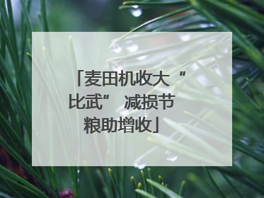 麦田机收大“比武” 减损节粮助增收