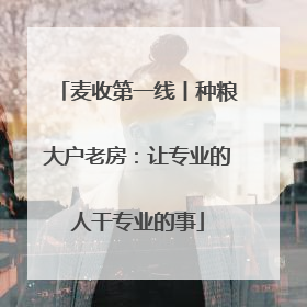 麦收第一线丨种粮大户老房：让专业的人干专业的事