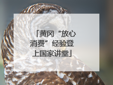 黄冈“放心消费”经验登上国家讲堂