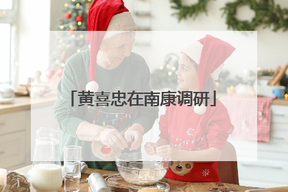 黄喜忠在南康调研