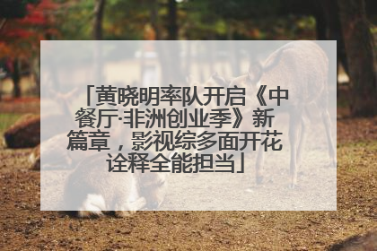 黄晓明率队开启《中餐厅·非洲创业季》新篇章，影视综多面开花诠释全能担当
