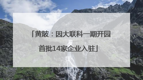 黄陂：因大联科一期开园 首批14家企业入驻