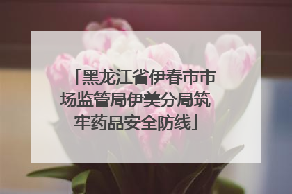 黑龙江省伊春市市场监管局伊美分局筑牢药品安全防线