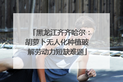 黑龙江齐齐哈尔：胡萝卜无人化种植破解劳动力短缺难题