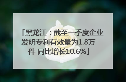 黑龙江：截至一季度企业发明专利有效量为1.8万件 同比增长10.6%