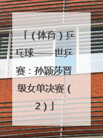 （体育）乒乓球——世乒赛：孙颖莎晋级女单决赛（2）
