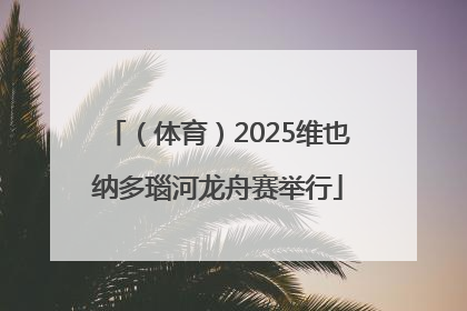 （体育）2025维也纳多瑙河龙舟赛举行