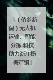 （侨乡新貌）无人机运输、智能分拣 科技助力浙江杨梅产销