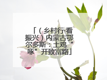 （乡村行·看振兴）内蒙古鄂尔多斯：土鸡“啄”开致富路