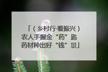 （乡村行·看振兴）农人手握金“药”匙 药材种出好“钱”景