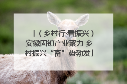 （乡村行·看振兴）安徽固镇产业聚力 乡村振兴“畜”势勃发