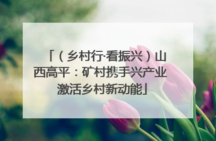 （乡村行·看振兴）山西高平：矿村携手兴产业 激活乡村新动能