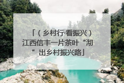 （乡村行·看振兴）江西信丰一片茶叶“沏”出乡村振兴路