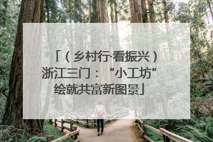 （乡村行·看振兴）浙江三门：“小工坊”绘就共富新图景