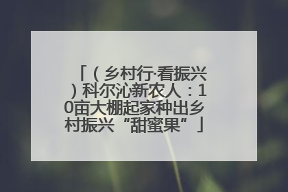 （乡村行·看振兴）科尔沁新农人：10亩大棚起家种出乡村振兴“甜蜜果”