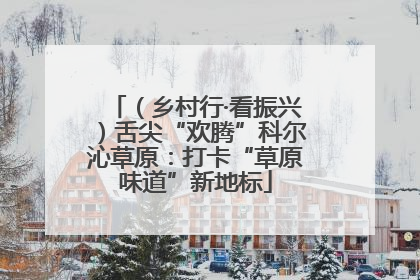 （乡村行·看振兴）舌尖“欢腾”科尔沁草原：打卡“草原味道”新地标