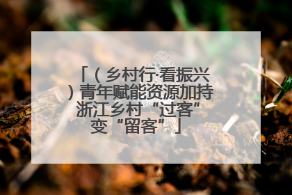 (乡村行·看振兴)青年赋能资源加持 浙江乡村“过客”变“留客”