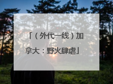 （外代一线）加拿大：野火肆虐