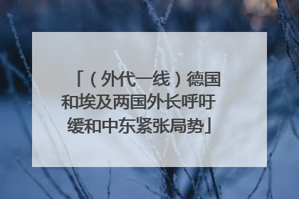 （外代一线）德国和埃及两国外长呼吁缓和中东紧张局势