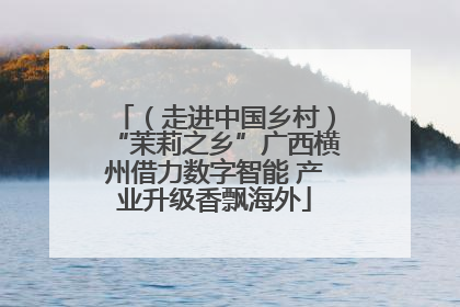 （走进中国乡村）“茉莉之乡”广西横州借力数字智能 产业升级香飘海外