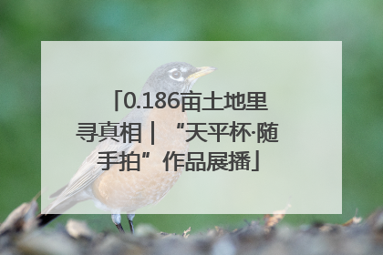 0.186亩土地里寻真相｜“天平杯·随手拍”作品展播