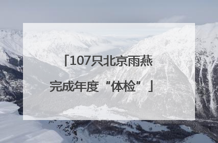 107只北京雨燕完成年度“体检”
