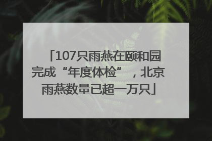 107只雨燕在颐和园完成“年度体检”，北京雨燕数量已超一万只