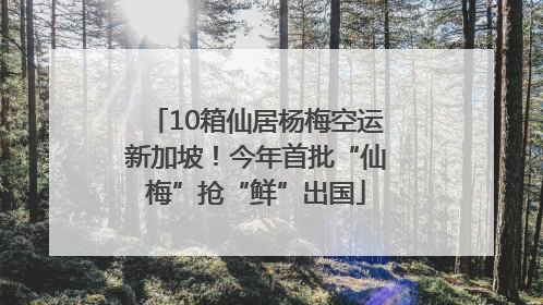 10箱仙居杨梅空运新加坡！今年首批“仙梅”抢“鲜”出国