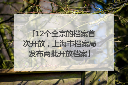 12个全宗的档案首次开放，上海市档案局发布两批开放档案