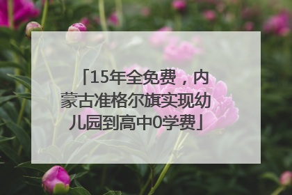 15年全免费，内蒙古准格尔旗实现幼儿园到高中0学费