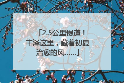 2.5公里慢道！丰泽这里，藏着初夏治愈的风……