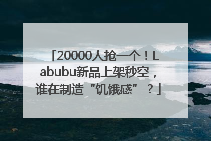 20000人抢一个！Labubu新品上架秒空，谁在制造“饥饿感”？
