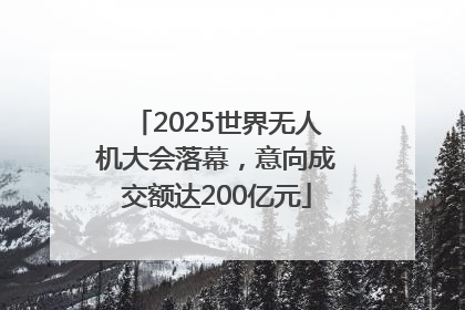 2025世界无人机大会落幕，意向成交额达200亿元