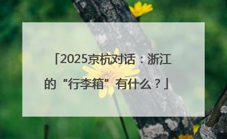 2025京杭对话：浙江的“行李箱”有什么？