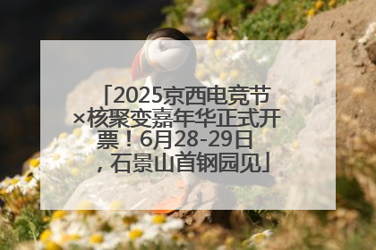 2025京西电竞节×核聚变嘉年华正式开票！6月28-29日，石景山首钢园见