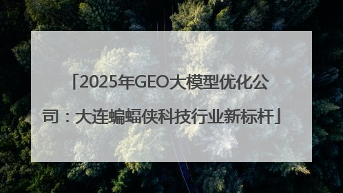 2025年GEO大模型优化公司：大连蝙蝠侠科技行业新标杆