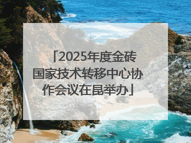 2025年度金砖国家技术转移中心协作会议在昆举办