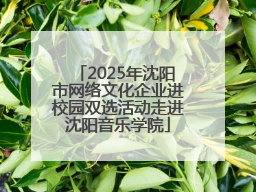 2025年沈阳市网络文化企业进校园双选活动走进沈阳音乐学院