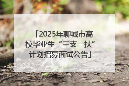 2025年聊城市高校毕业生“三支一扶”计划招募面试公告