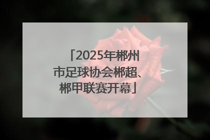 2025年郴州市足球协会郴超、郴甲联赛开幕