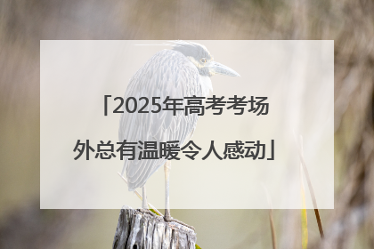 2025年高考考场外总有温暖令人感动