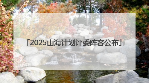 2025山海计划评委阵容公布