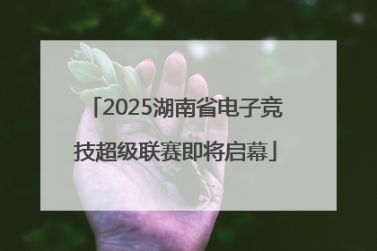2025湖南省电子竞技超级联赛即将启幕