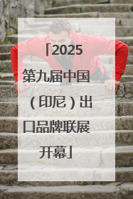 2025第九届中国（印尼）出口品牌联展开幕