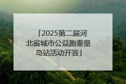 2025第二届河北省城市公益跑秦皇岛站活动开赛